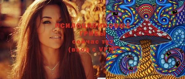 ГАЛЛЮЦИНОГЕННЫЕ ГРИБЫ Абинск
