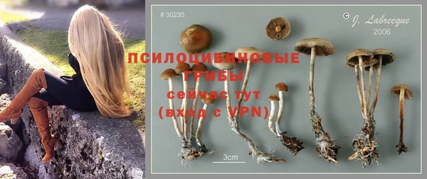 герыч Каменногорск